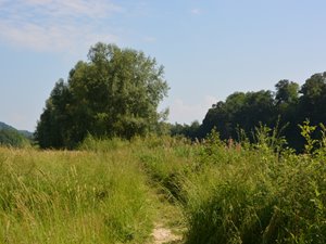 Weg Richtung Dürnbach